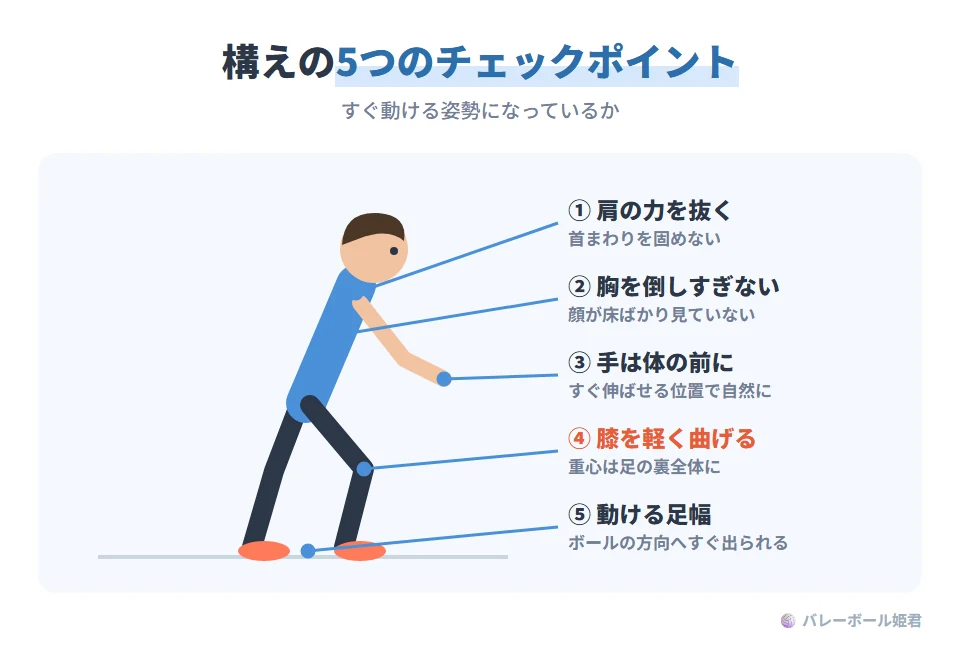 ソフトバレーボールの構え(準備姿勢)のチェックポイントのイラスト。膝が軽く曲がり重心が足の裏全体に乗っている。胸が前に倒れすぎず、顔が床ばかり見ていない。肩の力が抜け、首まわりが硬くなっていない。ボールが来る方向へ素早く動ける幅で足を開いている。手は体の前で自然に構え、必要なときに素早く伸ばせる