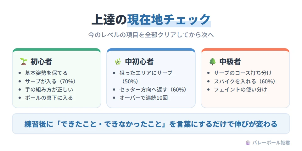 スキル別の上達チェックリスト。初心者レベル：正しい基本姿勢を維持できる、サーブをコートに入れられる（成功率70%以上）、アンダーハンドパスで正しい手の組み方ができる、ボールの真下に入って取ろうとする。中初心者レベル：サーブを狙ったエリアに入れられる（成功率50%以上）、レシーブをセッター方向に返せる（成功率60%以上）、オーバーハンドパスを連続10回以上できる。中級者レベル：サーブでコースを打ち分けられる、スパイクを相手コートに入れられる（成功率60%以上）、相手を見てフェイントを使い分けられる