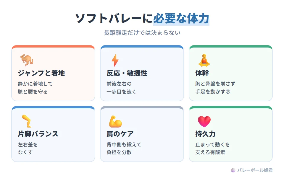 ソフトバレーボールが求める体力の要素。ジャンプ力と着地:ブロックやスパイクに効き、膝と腰を守る静かな着地がセット。反応速度・敏捷性:前後左右の初動を速くする姿勢と足の置き方。体幹:胸郭と骨盤の位置を崩さずに手足を動かす芯。下半身のバランス:片脚の安定。肩のケア:サーブやスパイクの負担を背中側の補強で分散。持久力:止まってまた動くを支える有酸素。長距離走だけで決まるわけではない